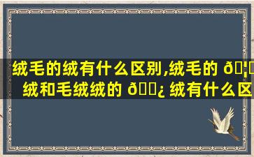 绒毛的绒有什么区别,绒毛的 🦁 绒和毛绒绒的 🌿 绒有什么区别